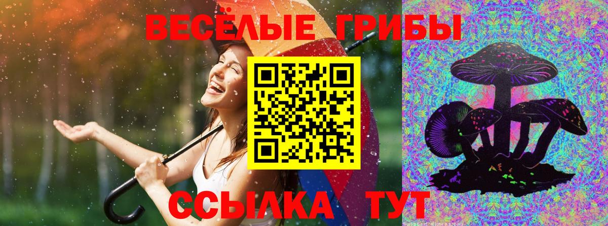 Сальск  Псилоцибиновые грибы Psilocybine cubensis  Вход с VPN 